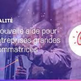  Aide aux entreprises grandes consommatrices de gaz et d’électricité