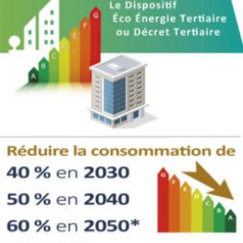 Decret BACS TERTIAIRE